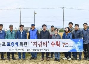 김포시, 김포 재배 폼종벼 ‘자광미’ 복원