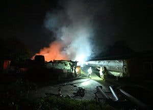 안성 일죽면 돈사서 한밤 불, 돼지 600 마리 폐사