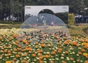 연천군, 오는 27일까지 전곡리유적서 국화축제 개최