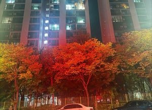 분당 정자동 아파트서 새벽 불, 60여명 대피소동