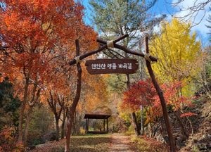 경기도, 오색단풍 ‘가평 연인산 명품 계곡길’ 이달 말 절정 예상