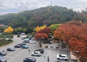 흐린 가을날 동두천시청 옥상서 본 단풍 정취