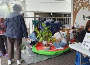 양주시 ‘찾아가는 반려 식물 상담소’ 운영…‘화분갈이’ 최대 2개 무료