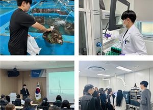 인천시, 꽃게 등 생산단계 수산물 안전성조사 결과 모두 ‘적합’…모두 허용기준 이내