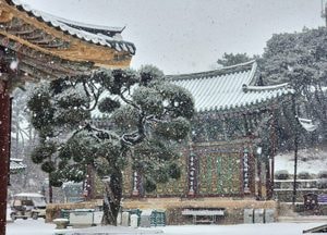 과천, 부천 등 경기 19개 시·군과 서울·인천 강화에 대설주의보