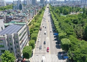 인천시 ‘부평구 길주로 양버즘나무길’ 올해 특화가로 조성사업 최우수기관 선정
