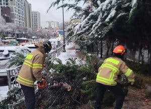 ‘첫눈에 쓰러지고 고립되고’ 경기지역 곳곳서 사고속출...양평서 차고지 눈 치우던 70대 숨져