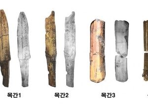 양주시 ‘양주대모산성’ 지난해에 이어 태봉 관련 4점 목간 출토