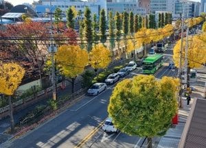 인천 미추홀구 ‘인천 특화 가로 조성 사업’ 군·구 평가 우수기관 선정