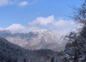 동두천 생연동 못골 임도에서 본 소요산 '설경'