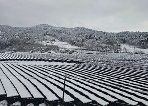 [공감, 세상구경] 습설로 인한 겨울철 사고, 구조 강화 필요한 시점