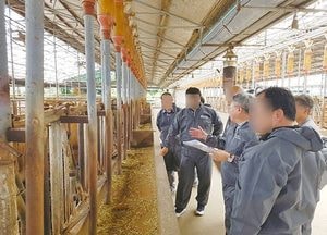 안성시 럼피스킨 방역대 이동제한 조치 '한 달만에 전면 해제'