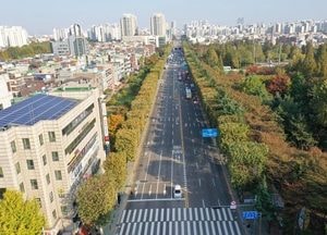 인천 부평구, 길주로 양버즘나무길 등 특화가로 조성사업 완료