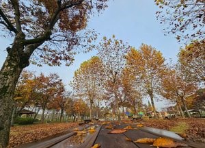 [내일 날씨] 경기·인천(5일, 화)...내일 출근길 외투 챙기세요, 기온 ‘뚝’ 떨어져 춥다