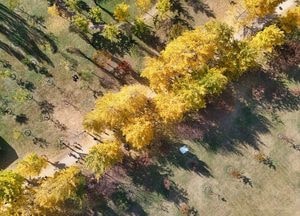 [드본세] 가을엔 강천섬