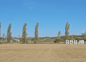 [영상] 기온 떨어트리는 가을바람