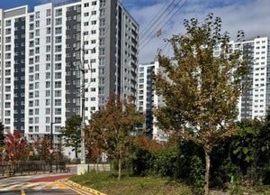 의정부시, 고산지구 일원 과도한 표지판 통합 정비하는 ‘도시 비우기 프로젝트’ 실시
