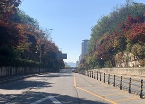 동두천, 절개된 어등산 “제대로 된 야생동물 생태통로 없어...이제라도 조성해야”