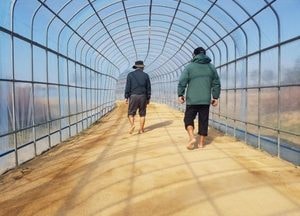 인천 계양구, 계양꽃마루 산책로 일부 구간에 130m의 전천후 맨발산책길 조성