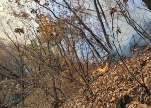 남양주 월문리 야산서 산불, 헬기 5대 동원 '2시간5분 만에 진화'