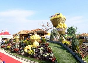 파주시, 제28회 파주장단콩축제 개최…오는 22일부터 24일까지 ‘임진각광장’