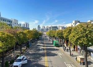 인천시 ‘세계평화의 숲’·‘인하로 은행나무 가로수길’ 모범 도시숲에 선정