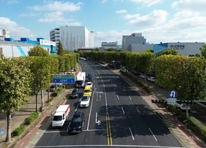 인천 남동구, 청능대로 등 5개소 도심 속 ‘특화가로’ 조성…가로수 조형 전지