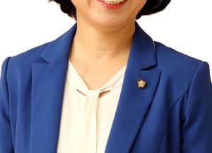 송옥주 의원, 국토부에 '경기국제공항 연구 용역' 원점 재검토 요청