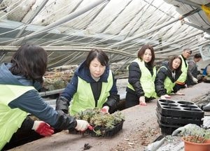 용인특례시의회, 남사화훼단지 폭설 피해 복구 지원 힘 보태