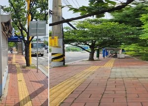 인천 남동구, 장기 미운영 가로판매대 일제 정비