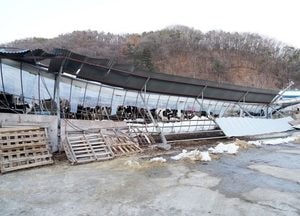 방세환 광주시장, 폭설 피해 현장 방문 점검 “신속 복구 최선”