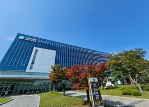 명품백 전달 논란 최재영 목사, 재판서 불법 선거 혐의 인정