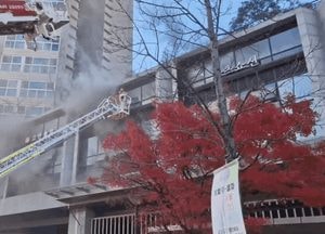[영상] 아브뉴프랑 판교점 주상복합건물 음식점서 불, 165명 긴급대피