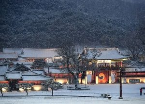 이재준 시장, 크리스마스엔 '대한민국 최고 관광지' 수원으로 오세요