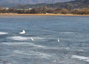 [내일 날씨] 경기·인천(27일, 금)...다시 강추위, 강풍·풍랑 유의