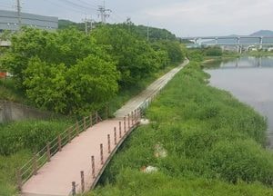 용인특례시, 행정안전부 규제 혁신 평가 ‘우수기관’ 선정...경안천 수변구역 해제 이끌어내