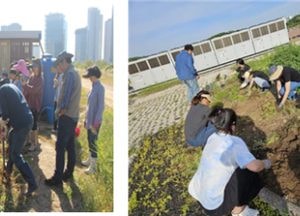 인천시 ‘이음·해바람’ 인천형 도시텃밭 가치 확산…공동체 형성·지역사회 기여