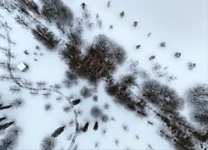 [내일 날씨] 경기·인천(5일, 일)...'소한' 추위대신 눈·비 최대 8㎝·10㎜, 다음주 '강추위'