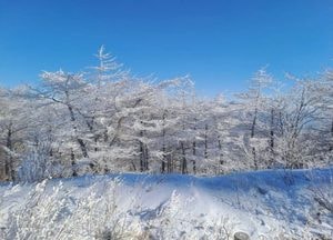 경기 15개 시·군, 인천에 '대설주의보'