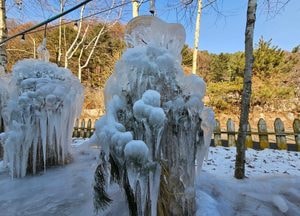 손님 끌어당기는 '카페 얼음 조형물'