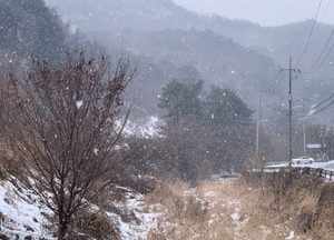 눈 내리는 동두천 ‘탑동계곡’