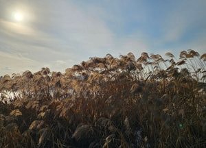 [내일 날씨] 경기·인천(18일, 토)...맑다가 흐려져, 기온차 커