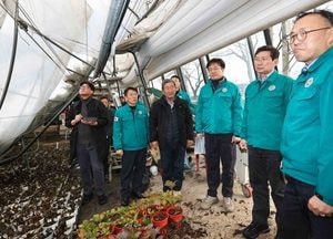 용인특례시, 폭설 피해 복구 134억원 확보...재난지원금·공공시설 복구·폐기물 처리 신속 집행