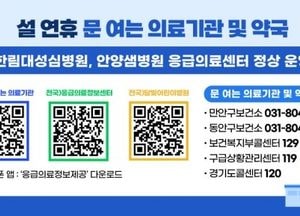 안양시, 설 연휴 응급의료 공백 없앤다...보건소·소방서·의료기관·의약단체 협력 강화
