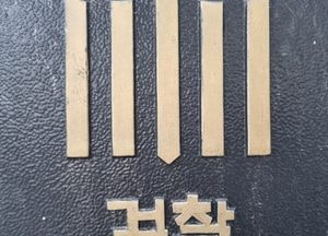 태국인 수십명 우리나라에 불법 취업 알선한 브로커 구속
