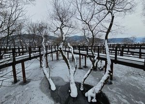 [내일 날씨] 경기·인천(1일, 토)...흐리고, 경기남부 ‘눈·비’