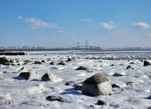 인천시, 한파주의보 발효에 따른 24시간 대응체계 가동…수도 동파·에너지 취약계층 지원 강화