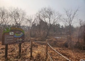 인천 남동구, 해오름근린공원 금개구리 서식지 등 생태환경 복원 추진…국비 4억5천만원 확보