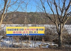 양평군, 고병원성 조류인플루엔자 H5N1형 검출…'차단방역 등 비상조치 강화'