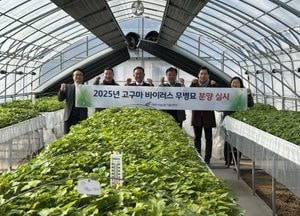 여주시, 고구마 바이러스 무병묘 첫 분양...지역 농업인 대상 4만2000주 공급 예정